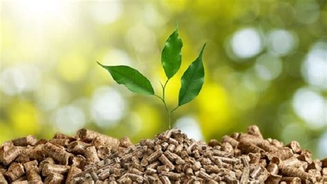 Energía Renovable Biomasa Aher