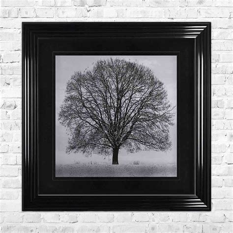 Winter Tree Black Mount Framed Wall Art By Shh Interiors 90cm X 90cm