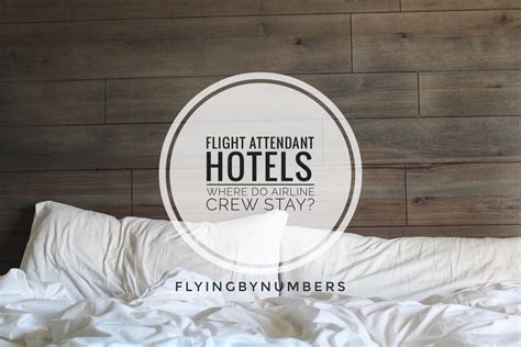 Flight Attendant Hotels Where Do Airline Crew Stay And What Airlines