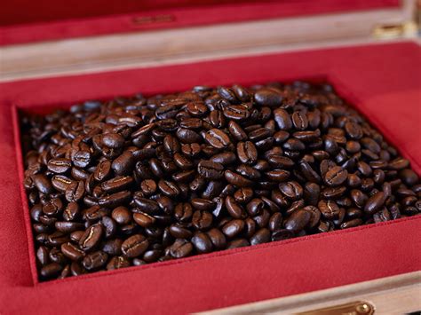 Maybe you would like to learn more about one of these? The World's Most Expensive Coffee | FOUR Magazine