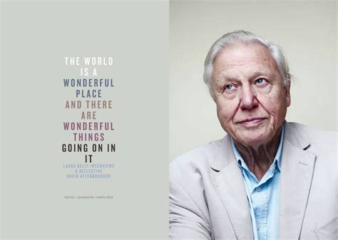 david attenborough it seems to me that the natural world is the greatest source of excitement