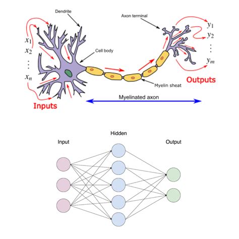 Artificial Neural Networks Ann Top Convolutional Neural Networks Vrogue