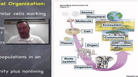 Chapter 1 Part 5 Levels Of Biological Organization Youtube