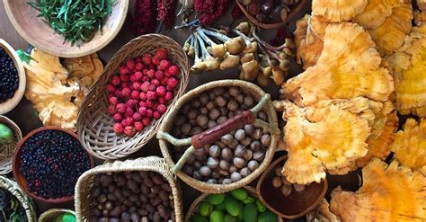 When most people venture into maine fields and forests in the summertime, they probably see flowers, trees, ferns and glimpses of wildlife if they're lucky. Asheville Foraging Food Adventure