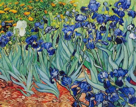 Irises188971x93cm Jpaul Getty Museum Malibucalifornia Van Gogh
