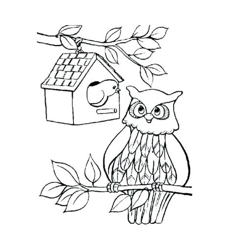 Cute Baby Owl Coloring Pages At Free Printable