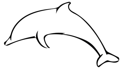 Clipart Dolphin Dolphin Outline Clipart Dolphin Dolphin Outline