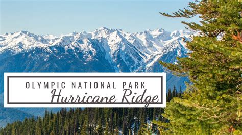 Hiking Hurricane Ridge Olympic National Park Washington