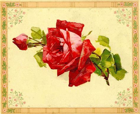 Vintage Flowers Clip Art Borders Vintage Flower Clip Art Red Rose