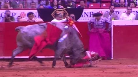 Viral Footage Of Bull Thrusting Horn In Matadors Butt
