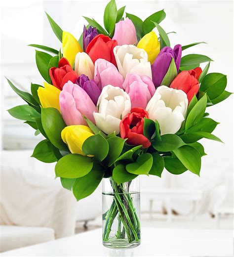 Maybe you would like to learn more about one of these? Tulips » Flowers £22.99 | FREE Chocolates | Prestige Flowers