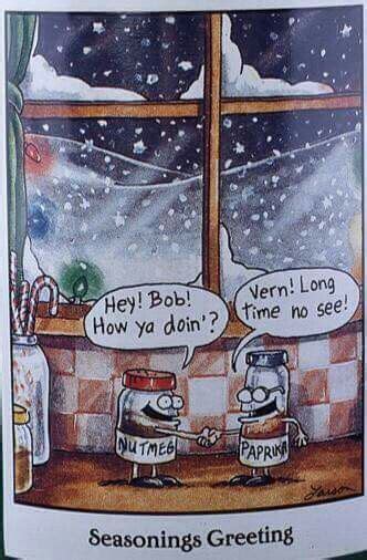 Pin By Sandy Ayres On The Far Side Christmas Memes Merry Christmas