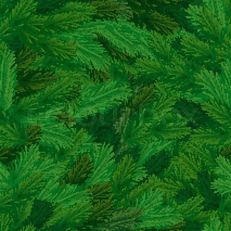 Pine Tree Leaf Texture While Pine Trees Grow All Over Theyre