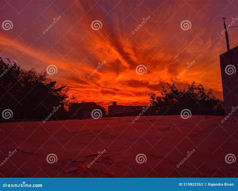 An Amazing Sunset Sky With Dark Silhouettes Of Tree Branches On It