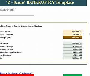 Z Score Bankruptcy Template And Instructional Guide