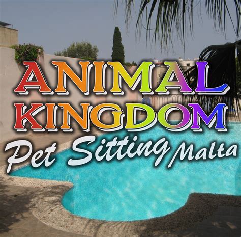 Animal Kingdom Pet Sitting Bugibba