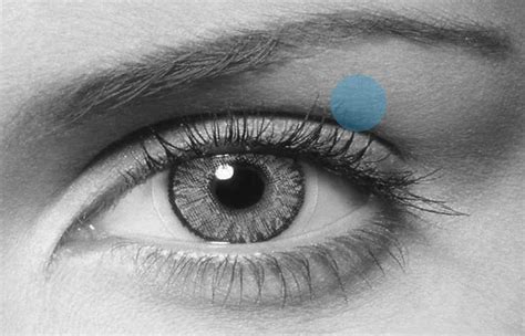 Disadari atau tidak, kelopak mata merupakan bagian yang paling sering mengalami kedutan. 4 Arti Kedutan Mata Kiri Atas | Arti Kedutan