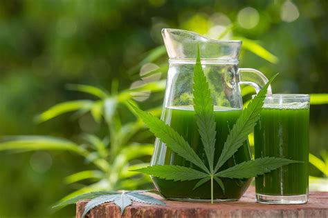 What Is The Use Of Thc Detox Drinks Tips To Maintain Good Health