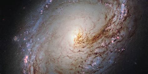 Nasas Hubble Telescope Captures Stunning Image Of Milky