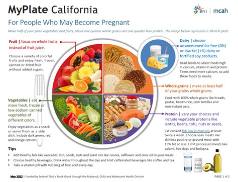 MyPlate For Pregnant And Breastfeeding Moms Poster English Spanish