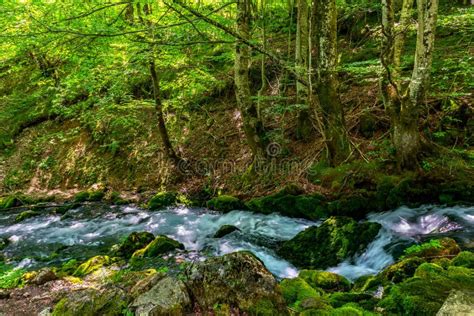 Cascade Of River Stock Photo Image Of Colorful Nature 169184570