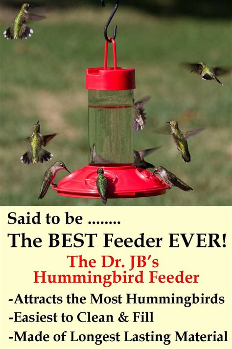 The best (and least expensive) solution for your feeder is a 1:4 solution of refined white sugar to tap water. Dr JBs Red Hummingbird Feeder. Said to be the BEST ...