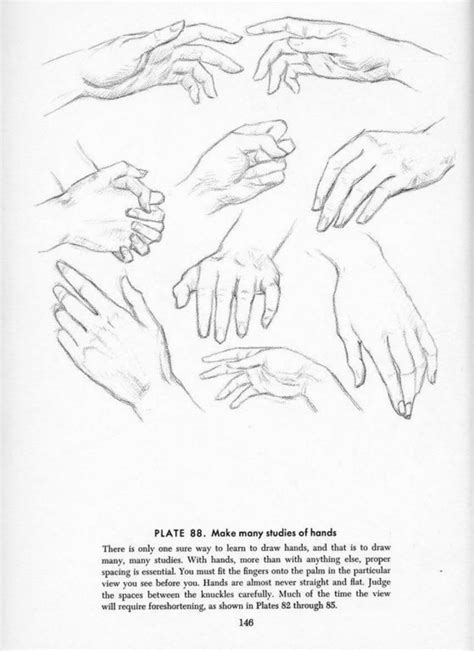 How To Draw Andrew Loomis Drawing The Head And Hands