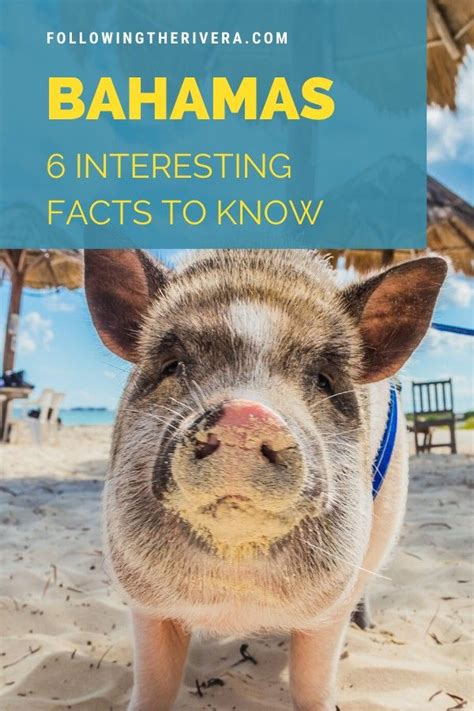 Interesting Facts About The Bahamas — 6 Useful Things To Know