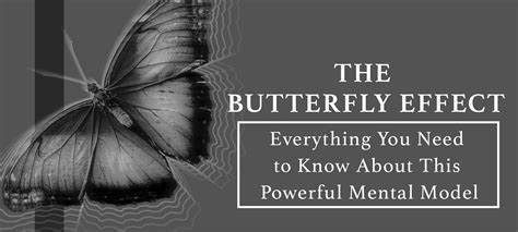 The Butterfly Effect Unraveling The Chaos Within Our Decisions The