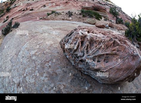 Zion National Park Is Located In The Southwestern United States Near