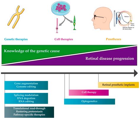 Genes Free Full Text Molecular Therapies For Inherited Retinal