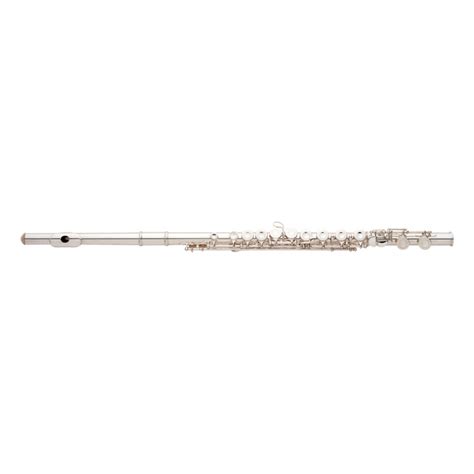 Beginner Major Brand Closed Hole Student Flutes Products Taylor Music
