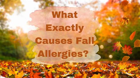 What Exactly Causes Fall Allergies Specialty Physician Associates