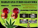 Marijuana Good For Glaucoma Photos