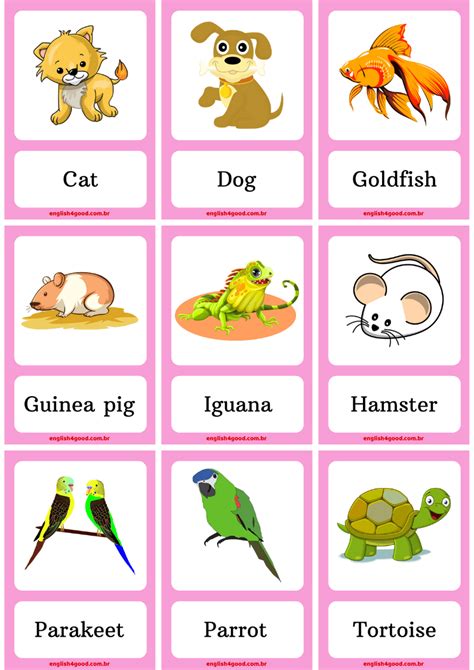 Pets Flashcards English4good Vocabulary Practice