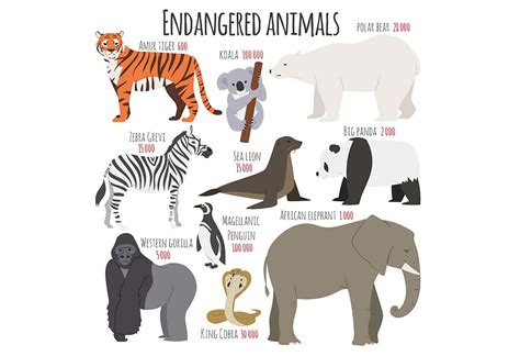 Teach Kids Names Of Animals That Are Endangered