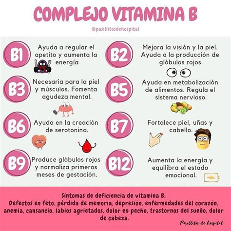 Complejo Vitamina B Tipos Y Funciones De Cada Vitamina B Nutricion