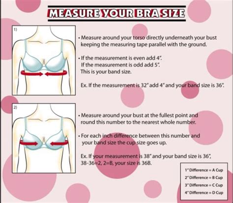How To Measure Your Bra Size Perfect Bra Size Bra Size Guide Bra