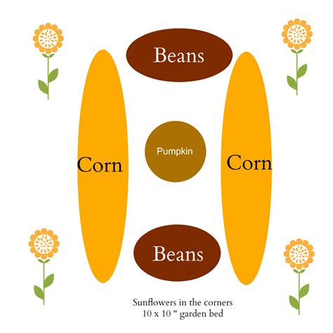 By planting corn, beans, and squash together, you can reduce some people plant sunflowers instead of corn at the center, or they may plant a row of sunflowers along the northern edge of their garden. Planting a Three Sisters Garden - Home Garden Joy