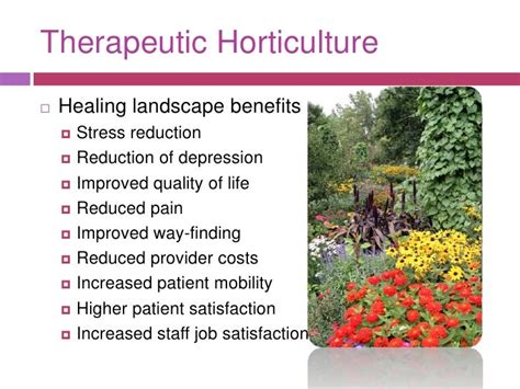 Horticulture Is Therapy