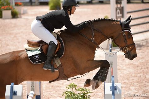 Pin By Lindsay Howe On Horses Show Jumping Horses Horse Rider