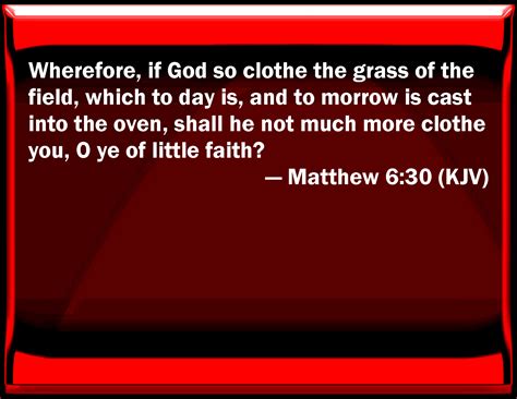 Matthew 630 Why If God So Clothe The Grass Of The Field Which To Day