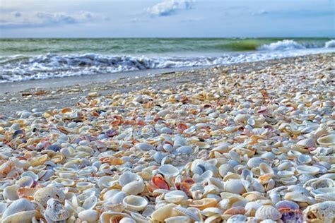 Fort Myers And Sanibel Beaches Beach Travel Destinations