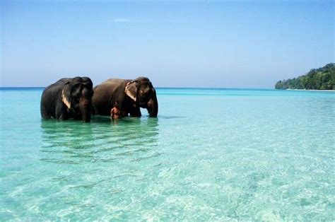 6 National Parks In Andaman For Your Vacation In 2023