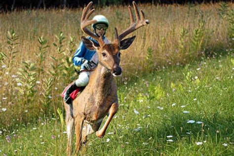 The Best Fake And Photoshopped Hunting Photos Gohunt