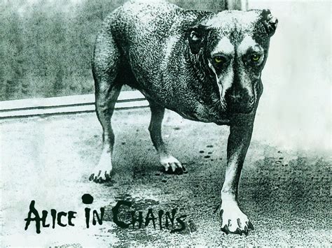 90s Nostalgic — The Album Cover For Alice In Chains Self Titled