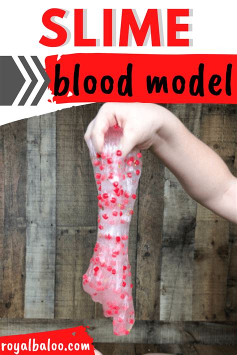 Blood Slime Model Whats In Our Blood Royal Baloo