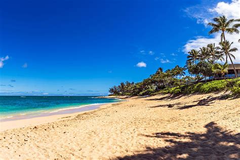 Cosas Que Solo Puedes Hacer En Verano En Hawaii Tanger