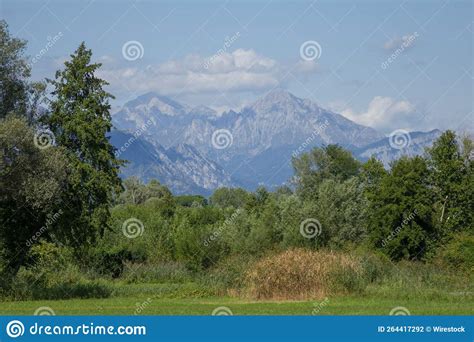 Aerial View Of Greenery Field Surrounded By Dense Trees Stock Photo