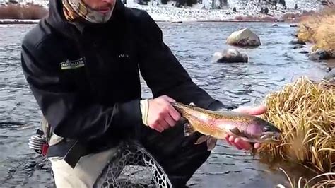 Madison River Fly Fishing The Fifth Season Youtube